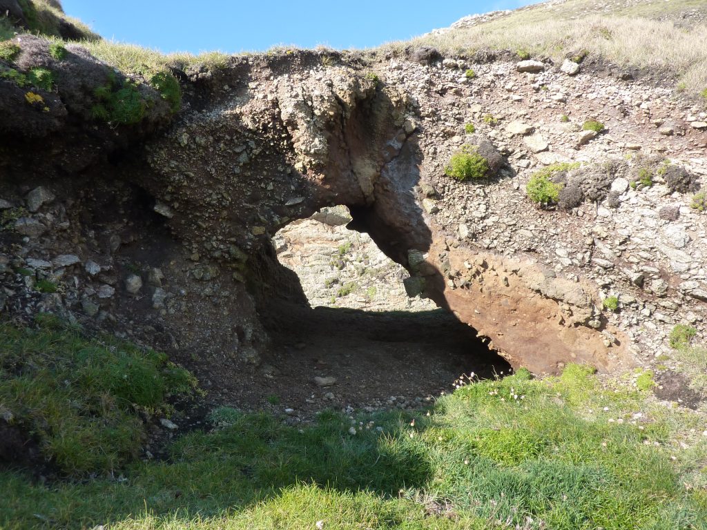 Picture of a small tunnel in a rock bed with a grassy area in front and a rock face visible through the tunnel